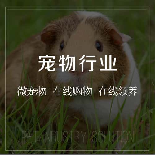 绍兴宠物