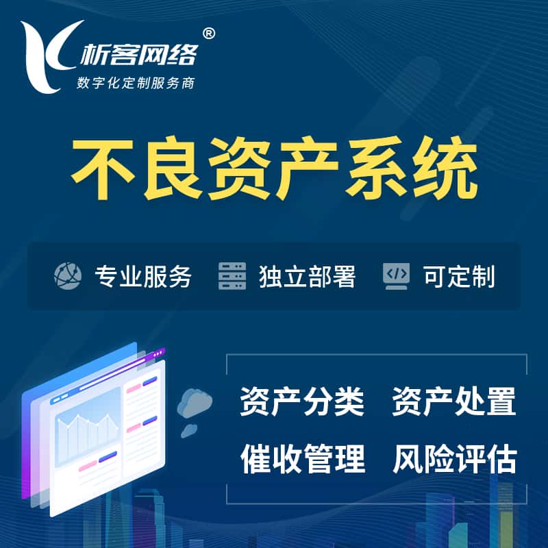 绍兴不良资产管理系统