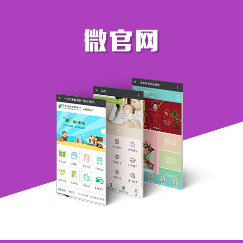 绍兴国产化网站定制如何应对信创政策要求