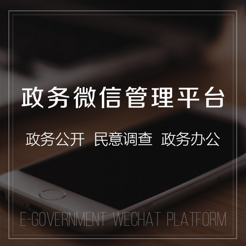 绍兴国产化网站定制如何应对技术自主可控挑战