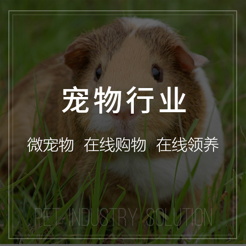 绍兴OA系统开发如何实现移动办公无缝衔接